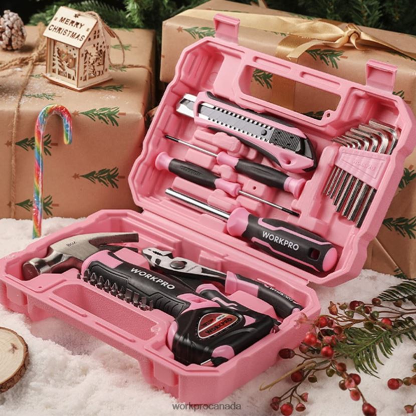 Pink/Blue WORKPRO 35 Pcs Household Tools Set with Storage Toolbox Tool ZNRDXV246