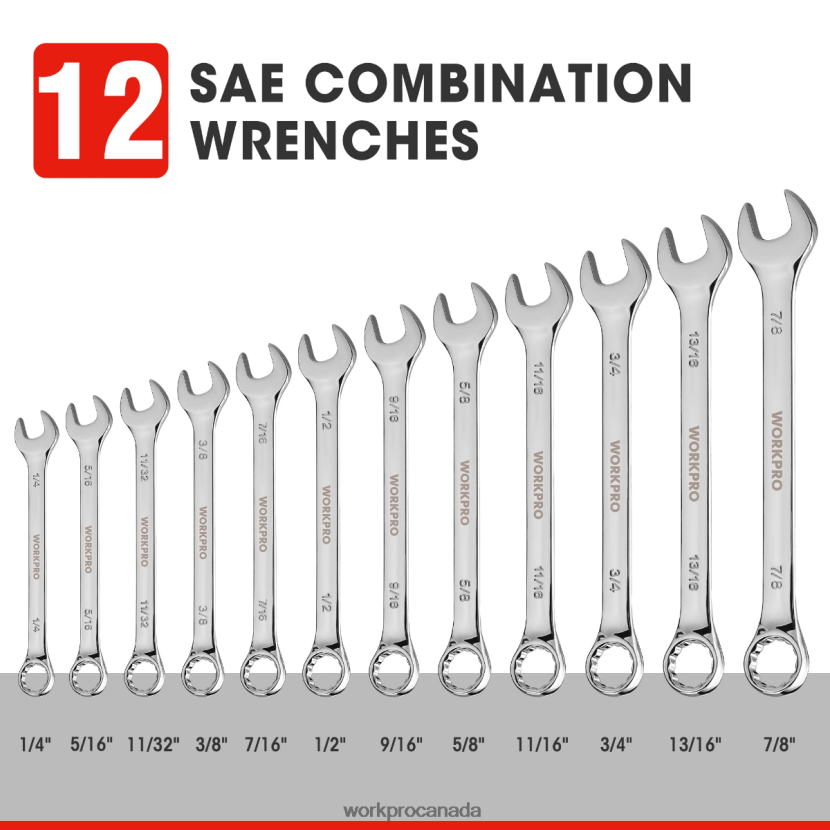 New WORKPRO 12 Pcs Metric 8-19mm, Premium Cr-V Combination Wrench Set Tool ZNRDXV95