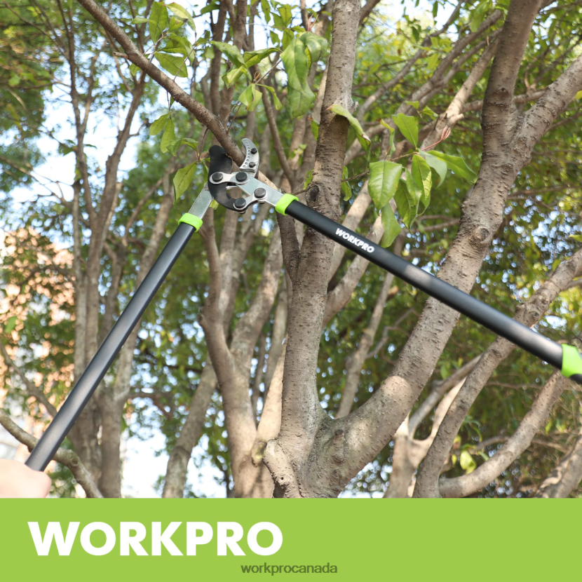 Morden WORKPRO Anvil Lopper, 32 Inch Branch Cutter with Compound Action, Heavy Duty Garden Tree Trimmer Tool ZNRDXV282
