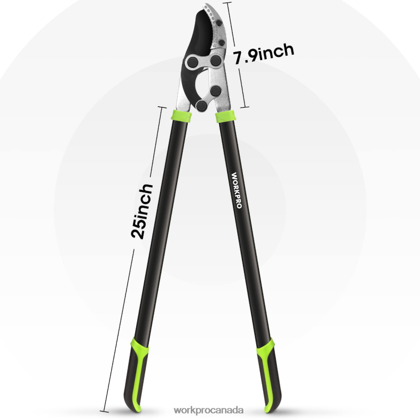 Morden WORKPRO Anvil Lopper, 32 Inch Branch Cutter with Compound Action, Heavy Duty Garden Tree Trimmer Tool ZNRDXV282