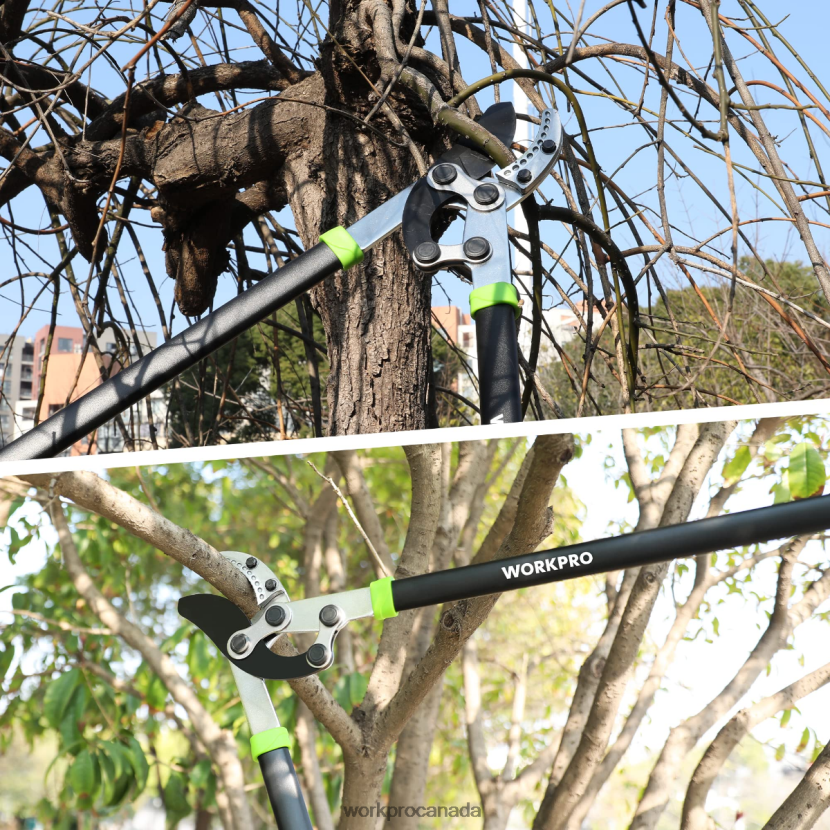 Morden WORKPRO Anvil Lopper, 32 Inch Branch Cutter with Compound Action, Heavy Duty Garden Tree Trimmer Tool ZNRDXV282