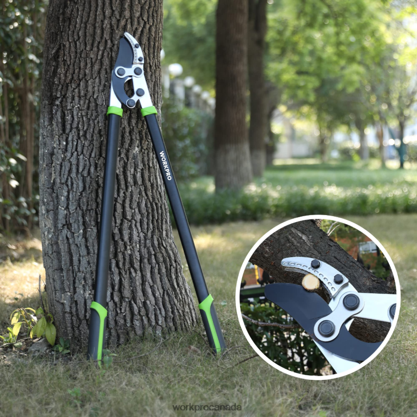 Morden WORKPRO Anvil Lopper, 32 Inch Branch Cutter with Compound Action, Heavy Duty Garden Tree Trimmer Tool ZNRDXV282