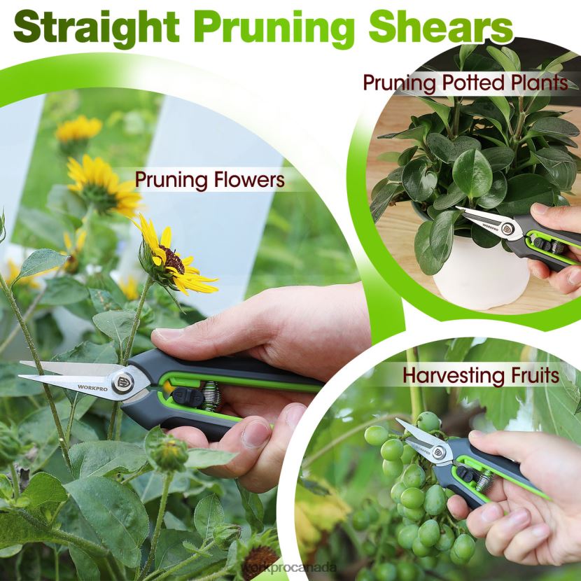 Morden WORKPRO Garden Pruning Shears 2 Pack, Bypass Pruning Shears and Straight Garden Scissors Tool ZNRDXV280