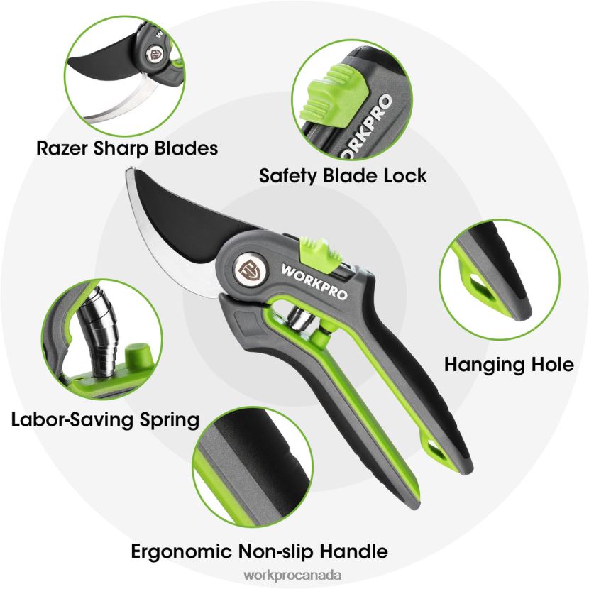 Morden WORKPRO Garden Pruning Shears 2 Pack, Bypass Pruning Shears and Straight Garden Scissors Tool ZNRDXV280