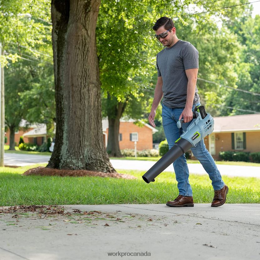 Helpful WORKPRO 20V Cordless Leaf Blower with 5 Adjustable Speeds 4.0Ah Larger Capacity Battery and Quick Charger Included Tool ZNRDXV292
