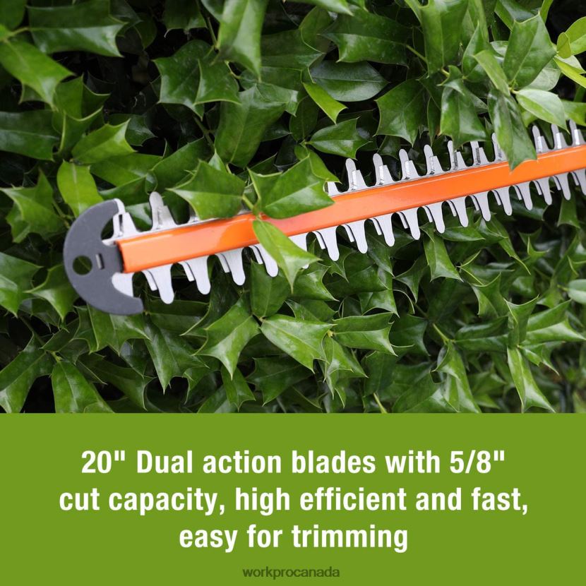 Morden WORKPRO 20V Cordless Hedge Trimmer Dual Action Blades Electric Gardening Tool 2.0Ah Battery and 1 Hour Quick Charger Included Tool ZNRDXV295