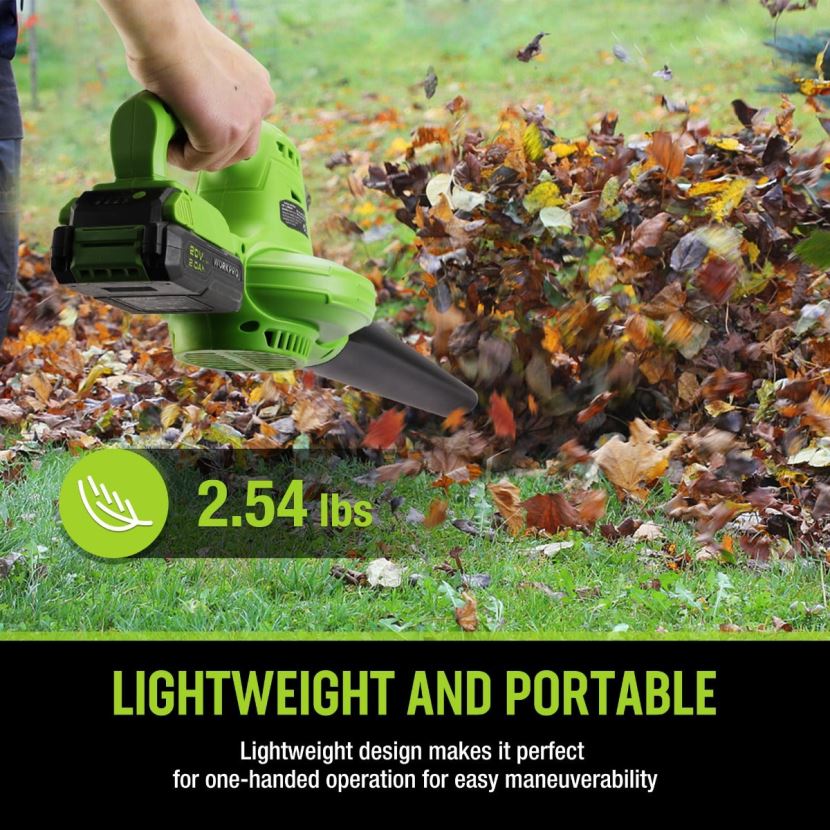 Morden WORKPRO 20V Lightweight Mini Cordless Leaf Blower wih Battery and Charger, 2-Speed Control Tool ZNRDXV303