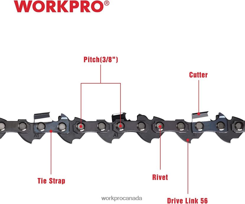 Useful WORKPRO 2-Pack Chainsaw Chain, 3/8