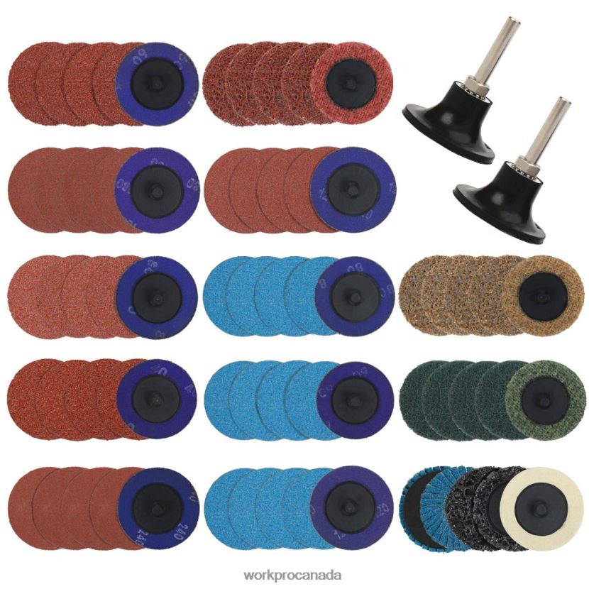 Useful WORKPRO 101 Pcs Sanding Discs Set 2 inch Discs with 1/4 inch Holder Tool ZNRDXV193