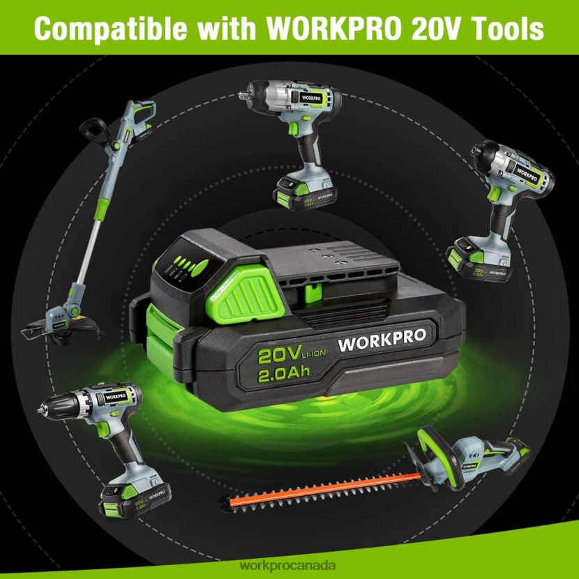 Morden WORKPRO 20V 2.0Ah Lithium-ion Battery Pack Tool ZNRDXV218