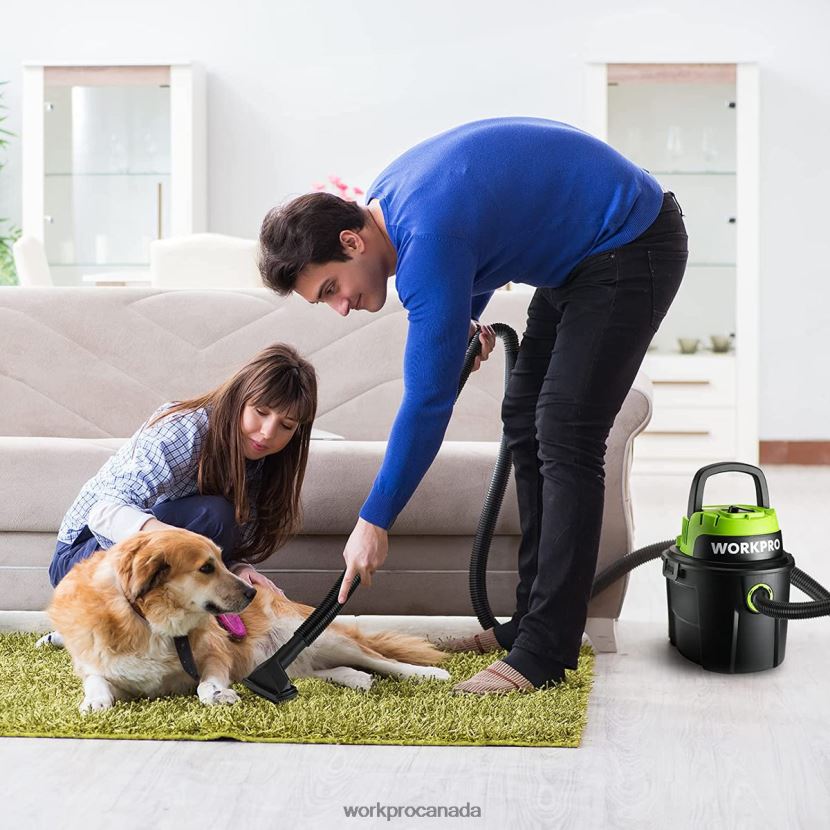 Useful WORKPRO Wet/Dry Vacuum 2.5 Gallon 3 Peak Horsepower, Portable Shop Vacuum Cleaner for Home Tool ZNRDXV216