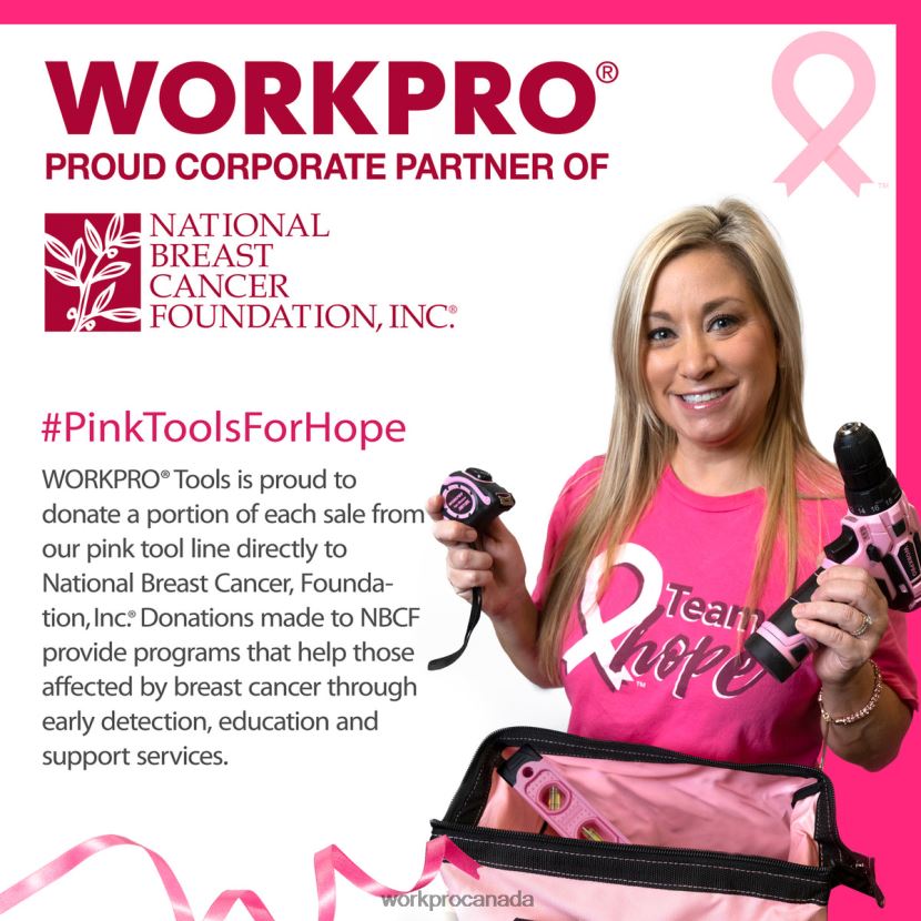 Pink WORKPRO 16-inch Tool Box, Plastic Toolbox with Metal Latch and Removable Tray Storage ZNRDXV23