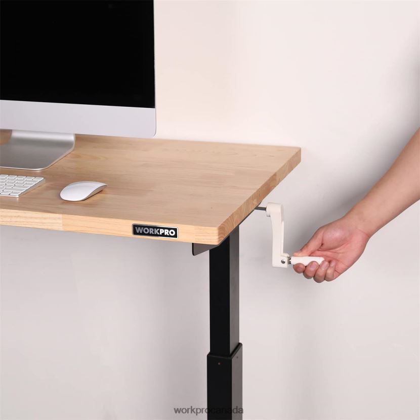 Useful WORKPRO Height Adjustable Work Table with Crank Handle, with Casters and Leveling Feet, 500 Lbs Load Capacity Storage ZNRDXV3